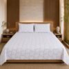 Restore Gulmohar Queen Bedsheet Set