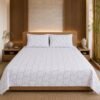 Restore Gulmohar-Timeless Heritage Collection Queen Size Bedsheet with 2 Pillow Covers